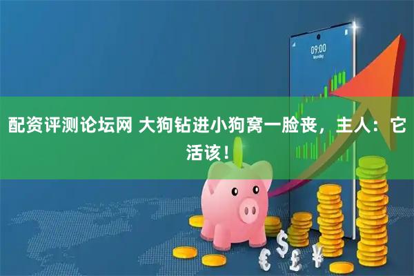 配资评测论坛网 大狗钻进小狗窝一脸丧，主人：它活该！