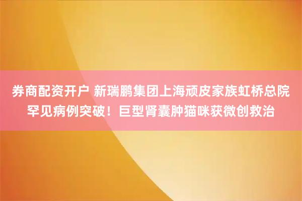 券商配资开户 新瑞鹏集团上海顽皮家族虹桥总院罕见病例突破！巨型肾囊肿猫咪获微创救治